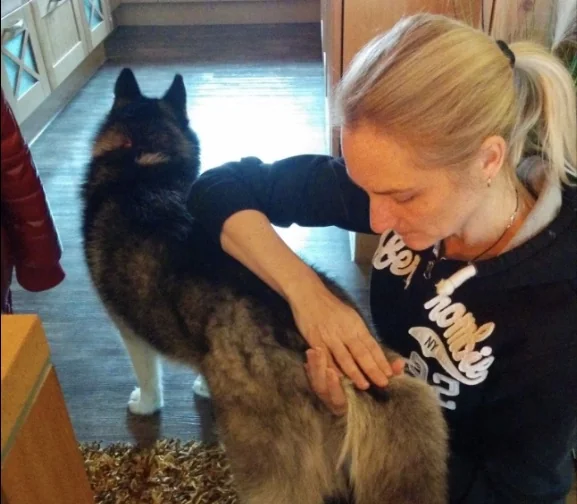 Behandlung eines Hundes