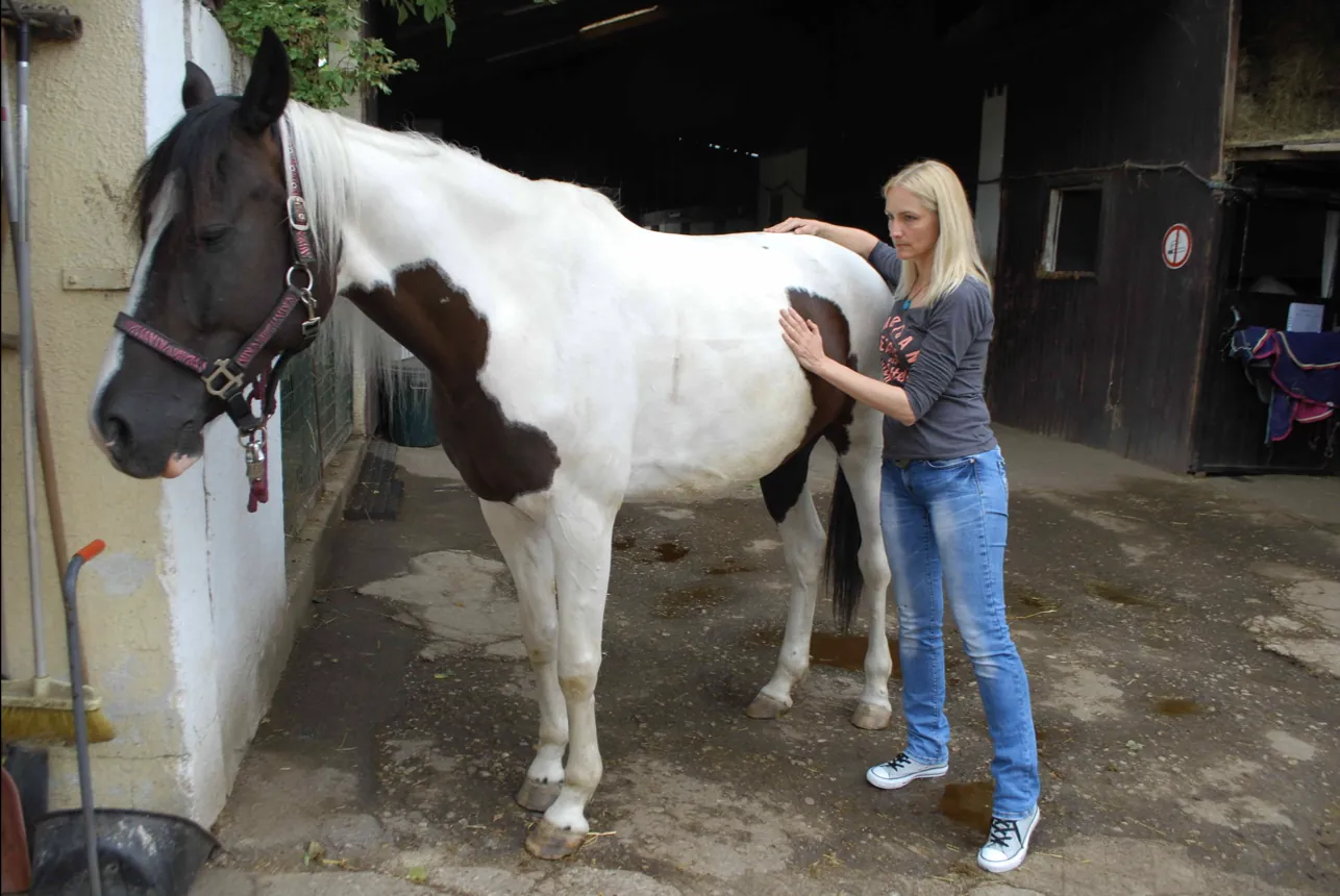Sonja Skopik bei der Arbeit mit einem Pferd